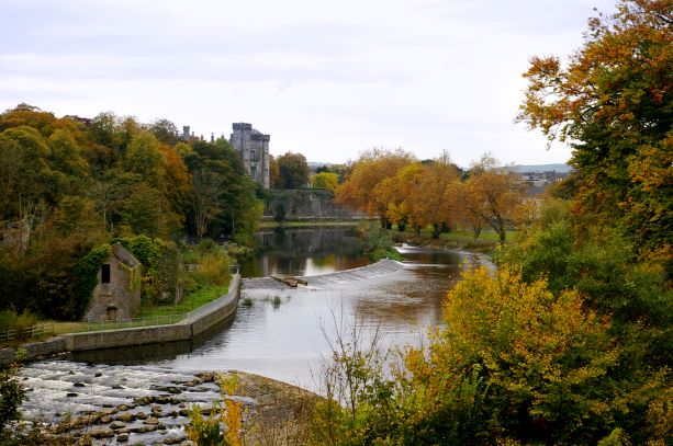 WATER CRISIS: Alarming decline in quality of Kilkenny's rivers, report warns - Kilkenny Now